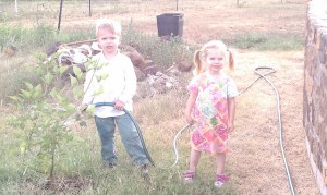 7420083534_18bc473580_z